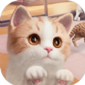 我和我的猫西山居游戏官方正式版 v1.0
