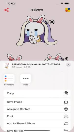多态兔兔动态贴纸app下载图片1