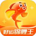 好运锦鲤王app