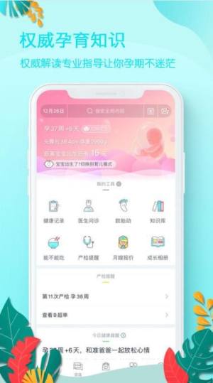 好孕妈app最新版图片1