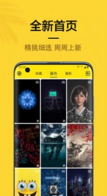 橙子4D动态壁纸免费版图3