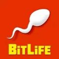 控制人生BitLife小游戏中文版 v3.1.8