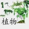 植物百科大全app手机版下载 v3.2.3