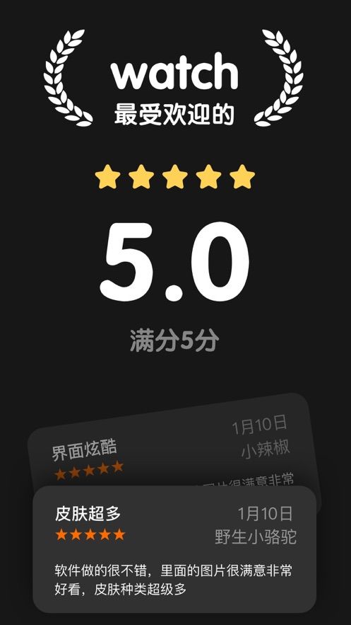 Watch表盘app图3