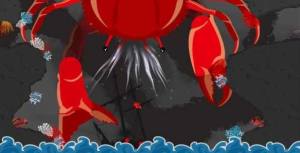 饥饿的小红鱼游戏最新官方版图片1