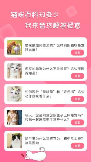 人猫翻译工具app图3