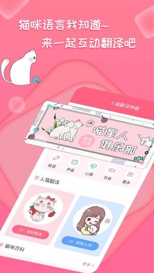 人猫翻译工具app手机版下载图片1