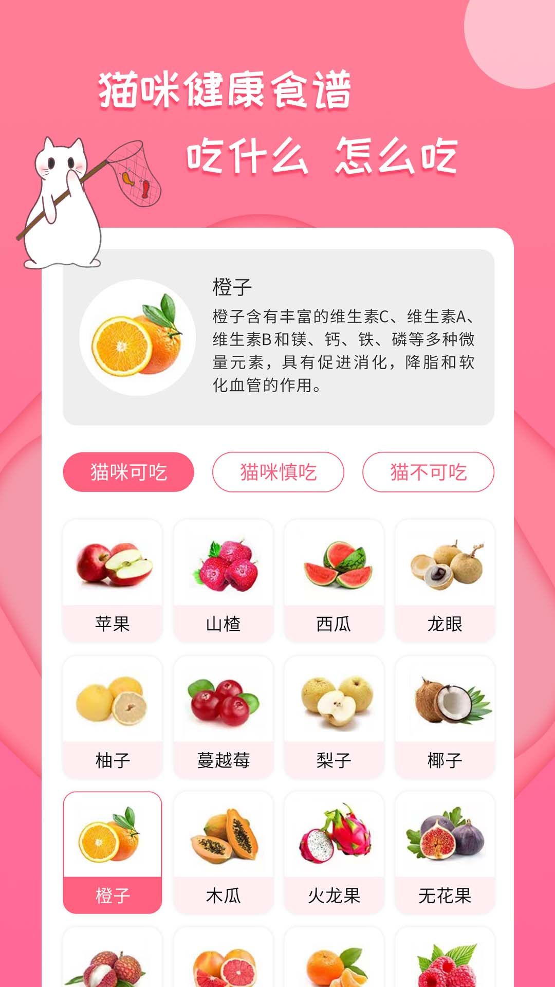 人猫翻译工具app手机版下载图片2