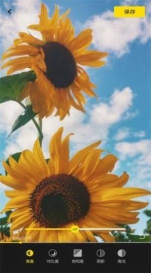 源味视频app手机版下载图片1