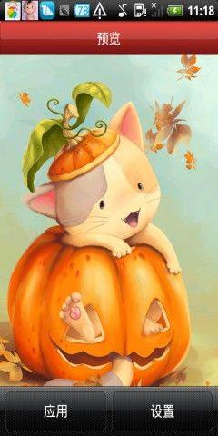 Pumpkin Kitten Live Wallpaper app图1