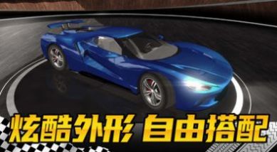 真实模拟赛车游戏图3
