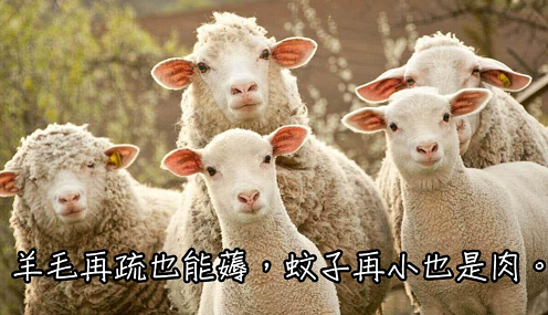 薅羊毛表情图图片