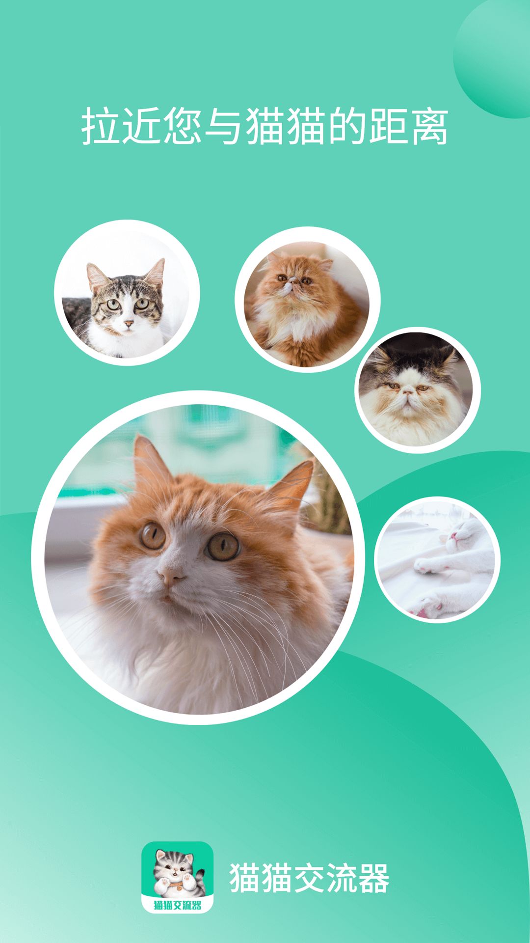 猫猫交流器最新版app安卓下载图片1