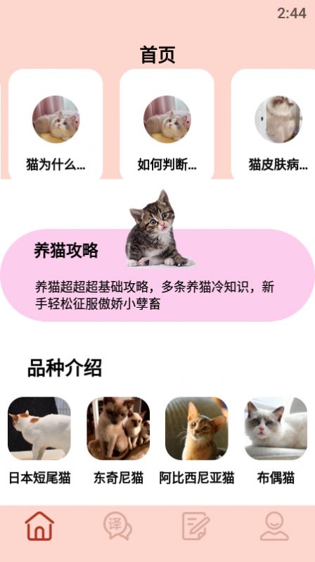 摸摸小猫app图1