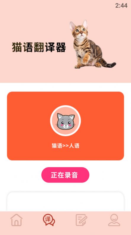 摸摸小猫app图3
