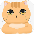 摸摸小猫app