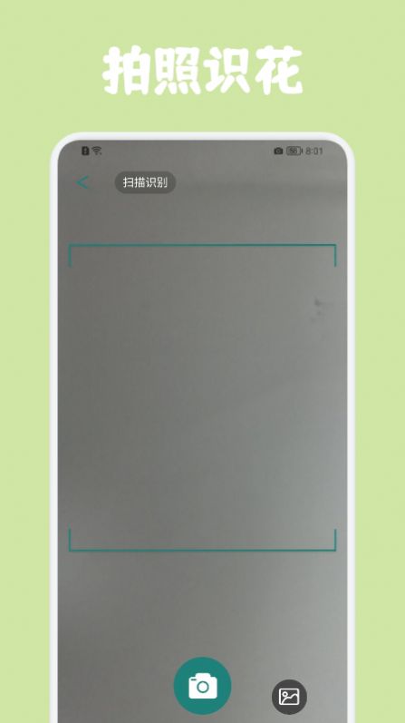 识花拍照帮app图3