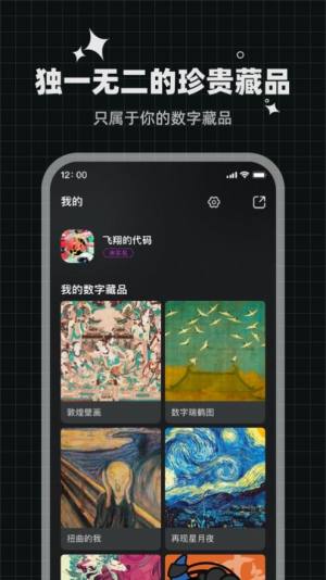 灵龙数字藏品app图1