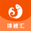 锦鲤汇app