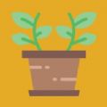 2022所有关于植物app手机版 v1.0