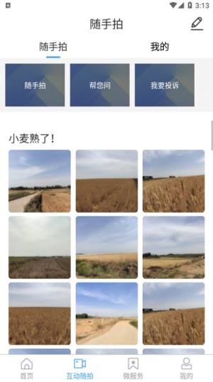 临沭首发app下载官方版图片1