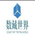 数藏世界平台app下载官方 v1.1.1