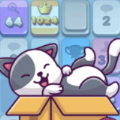有趣的小猫游戏安卓版（Funny Kitty） v1.0.9