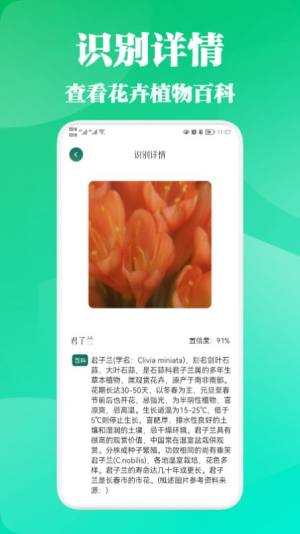 三叶草app图1