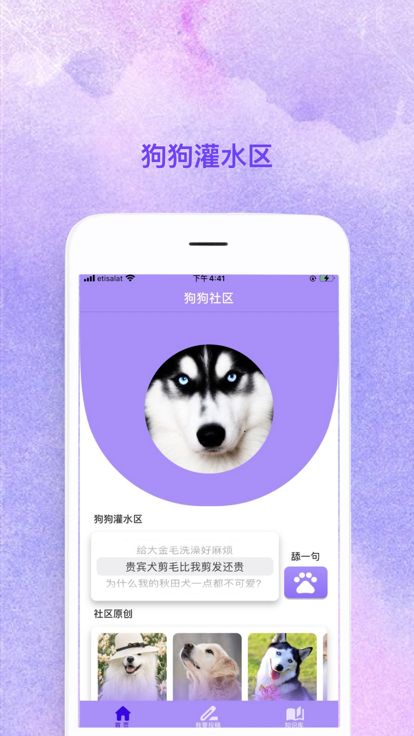 腾腾宠物社区app图2