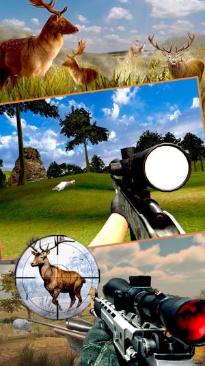 狩猎探险记游戏安卓版图片1