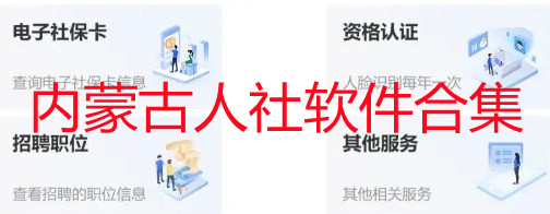 ���ɹ�����app�ϼ�