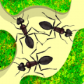 蚂蚁农场游戏