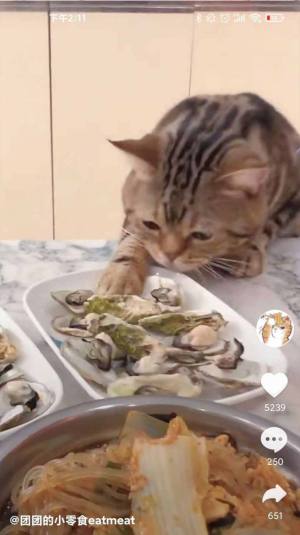 好刷短视频app官方最新版下载图片1