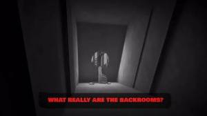 Backrooms Descent Horror Game下载安装图2
