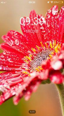 轻甜心壁纸app官方下载图片2