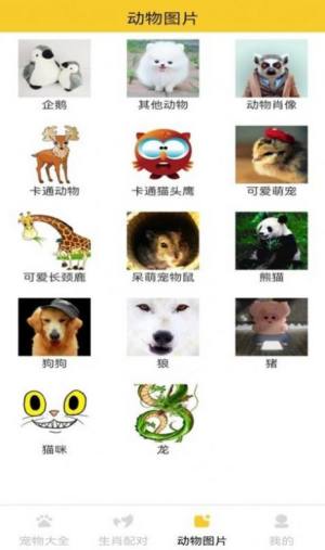 猫狗宠物大全app图2