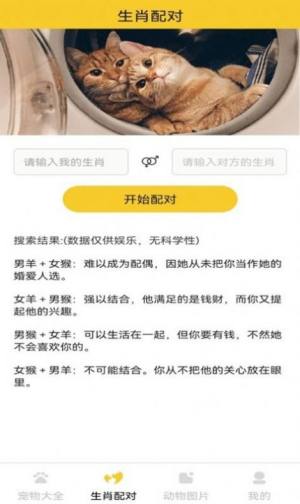 猫狗宠物大全官方手机版app下载图片1