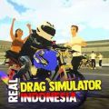 印尼真实阻力模拟器游戏