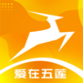 元速莲山app最新版