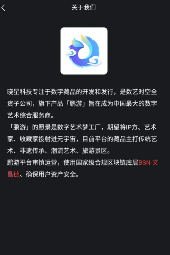 鹏游数藏app图2