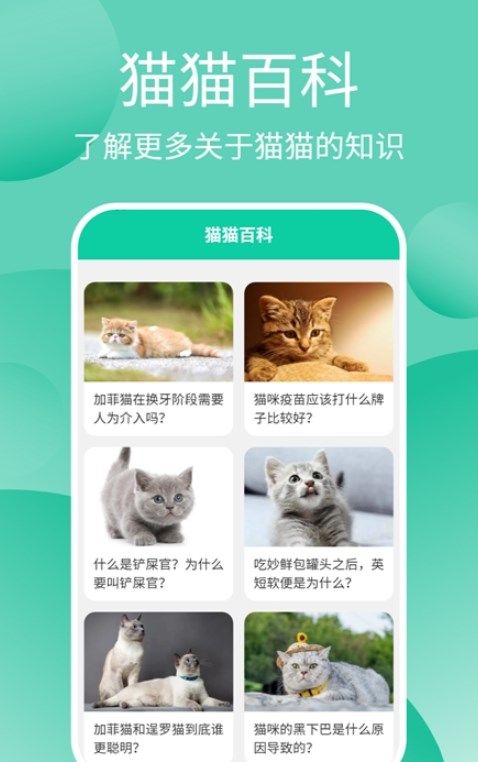 猫猫交流工具app图2