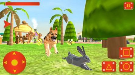 兔子生活模拟器游戏图3