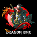 龙之君王游戏官方安卓版（Dragon King） v1.1