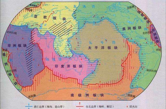 堆叠大陆树皮怎么获得  树皮/树枝作用详解[多图]图片2