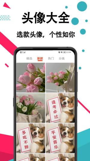 精灵动态壁纸大全app图2