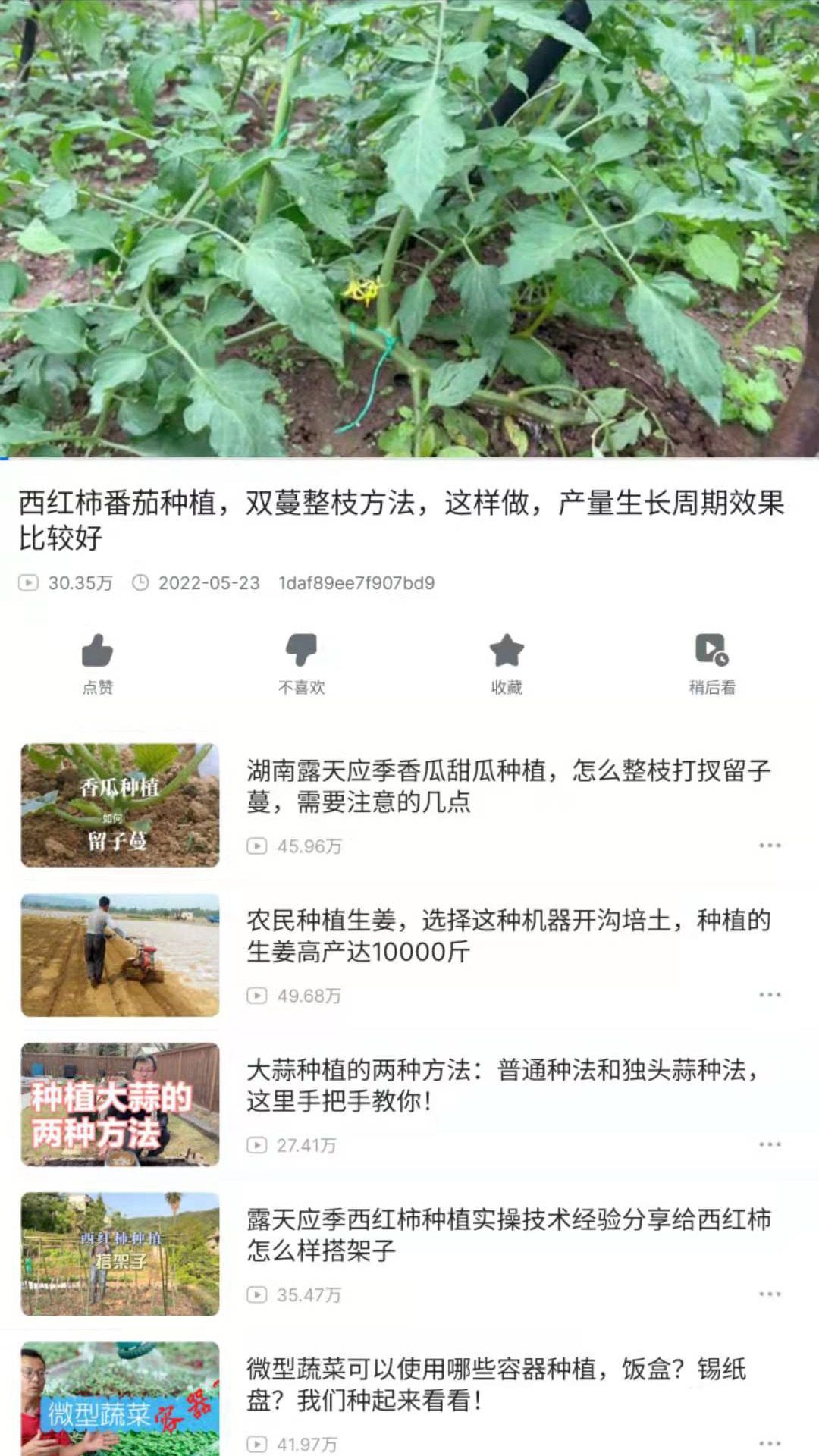 爷爷的农园正版图2