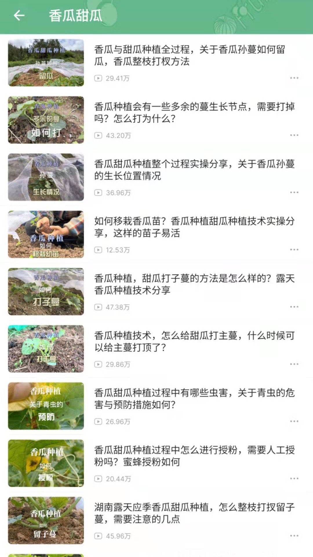 爷爷的农园正版图1