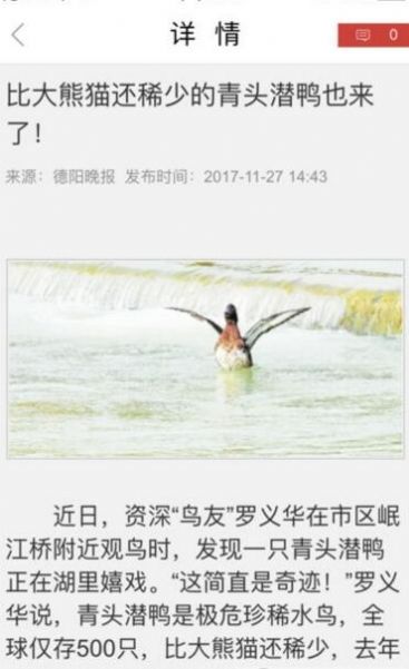 今日德阳最新app官方版图片1