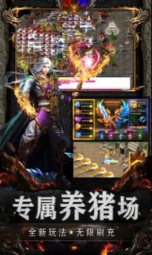 天龙满攻速手游官方安卓版图片2