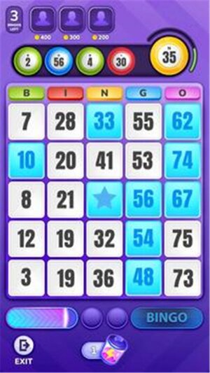宾果游戏亿万富翁小游戏官方版(Bingo Billionaire)图片1